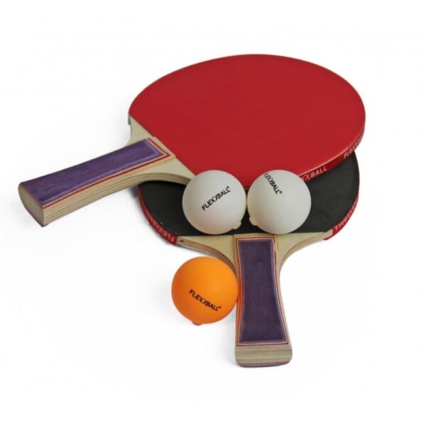 Portable Table Tennis Trainer Set