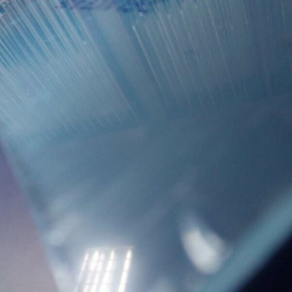Perspex window