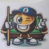 Pool Stickers