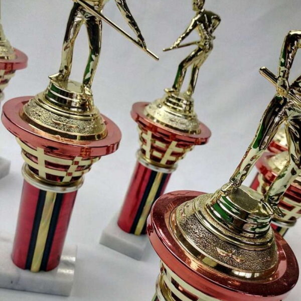 Trophy - Pool Man