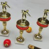 Trophy - Pool Man